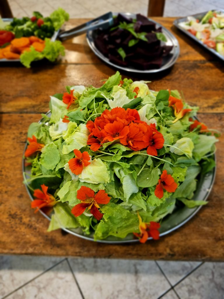 Monte Crista - Espaço de Vivências - Reserva de Data - Gastronomia - 4811