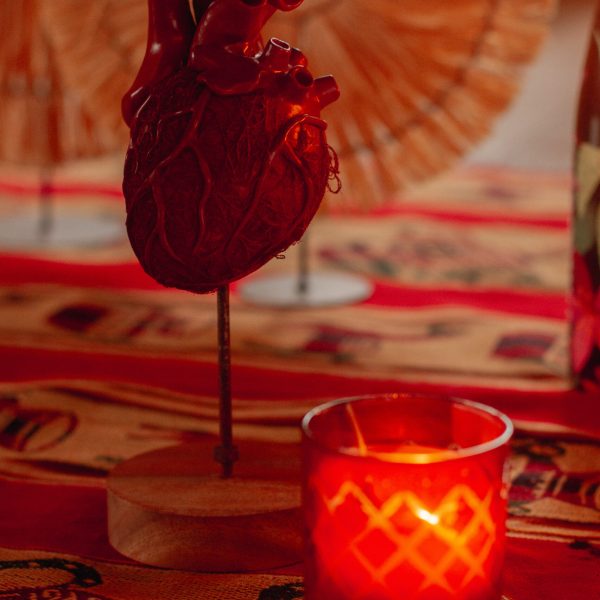 Monte Crista - Asas e Raízes - 0029