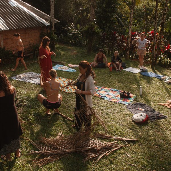 Monte Crista - Asas e Raízes - Horizontais - 0185